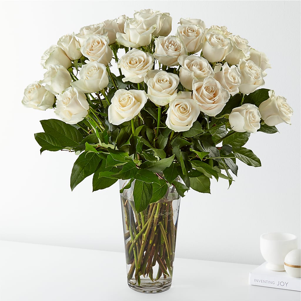 Long Stem White Rose Bouquet – KLEIN'S FLORAL & GREENHOUSES INC, Madison WI
