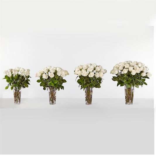 Long Stem White Rose Bouquet – KLEIN'S FLORAL & GREENHOUSES INC, Madison WI