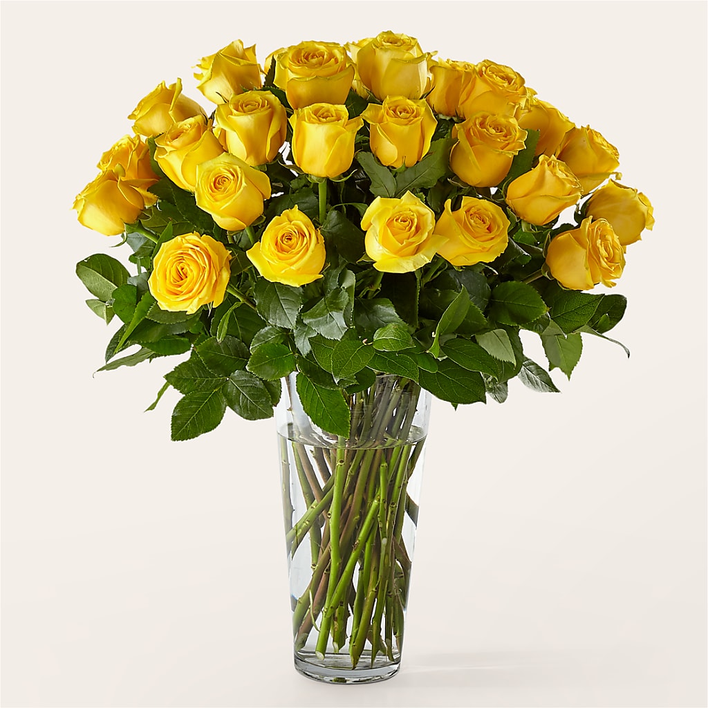 Long Stem Yellow Rose Bouquet – KLEIN'S FLORAL & GREENHOUSES INC, Madison WI