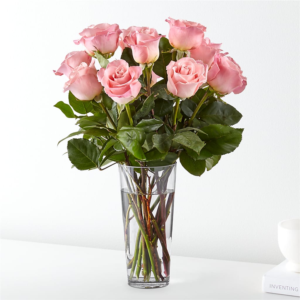 Long Stem Pink Rose Bouquet – KLEIN'S FLORAL & GREENHOUSES INC, Madison WI