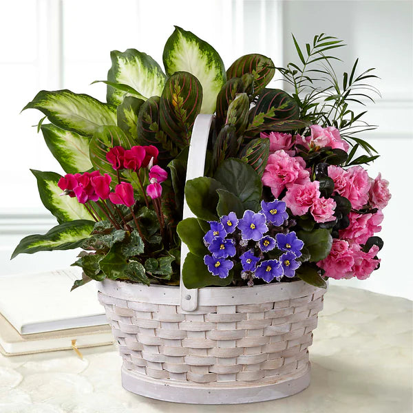 Peaceful Garden Planter -Green Plants and Blooming