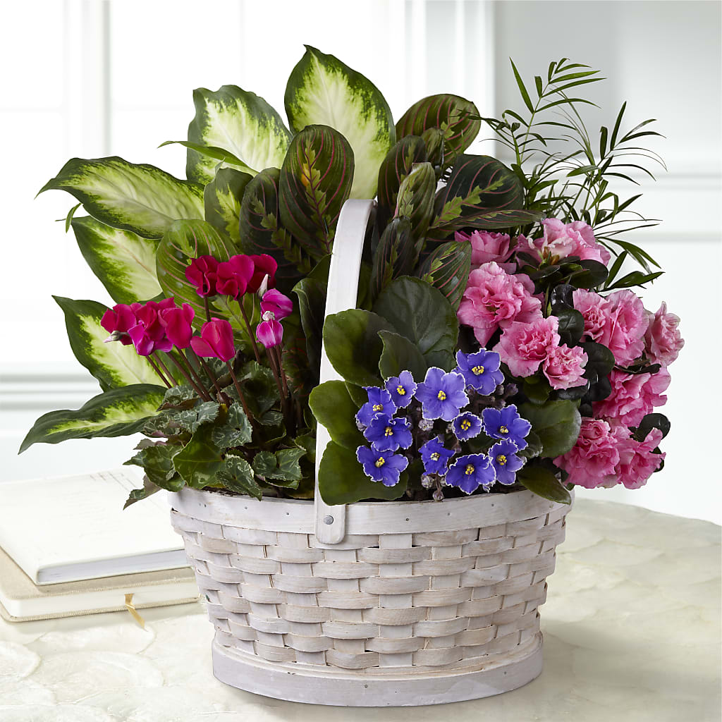 Peaceful Garden Planter -Green Plants and Blooming – KLEIN'S FLORAL & GREENHOUSES INC, Madison WI