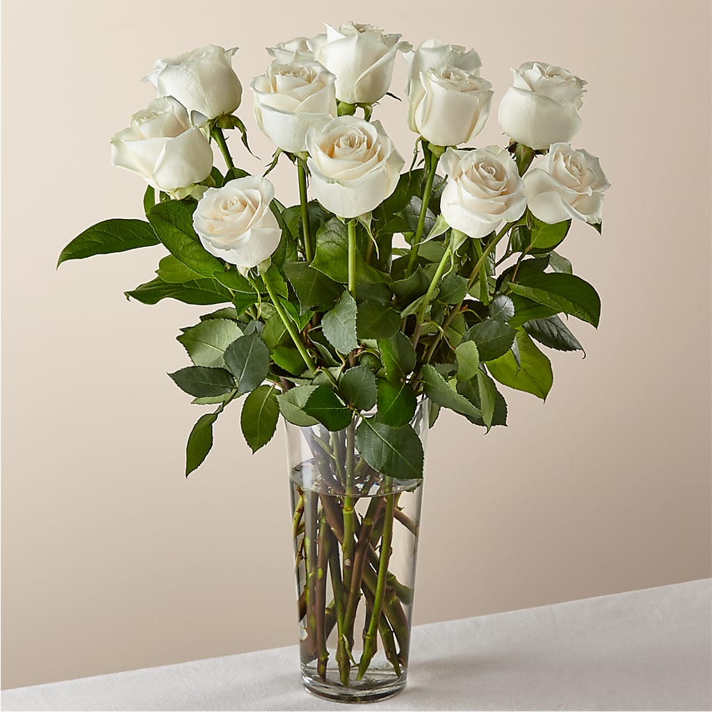 Long Stem White Rose Bouquet – KLEIN'S FLORAL & GREENHOUSES INC, Madison WI