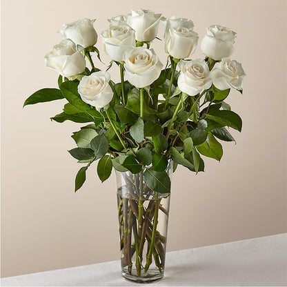 Long Stem White Rose Bouquet – KLEIN'S FLORAL & GREENHOUSES INC, Madison WI