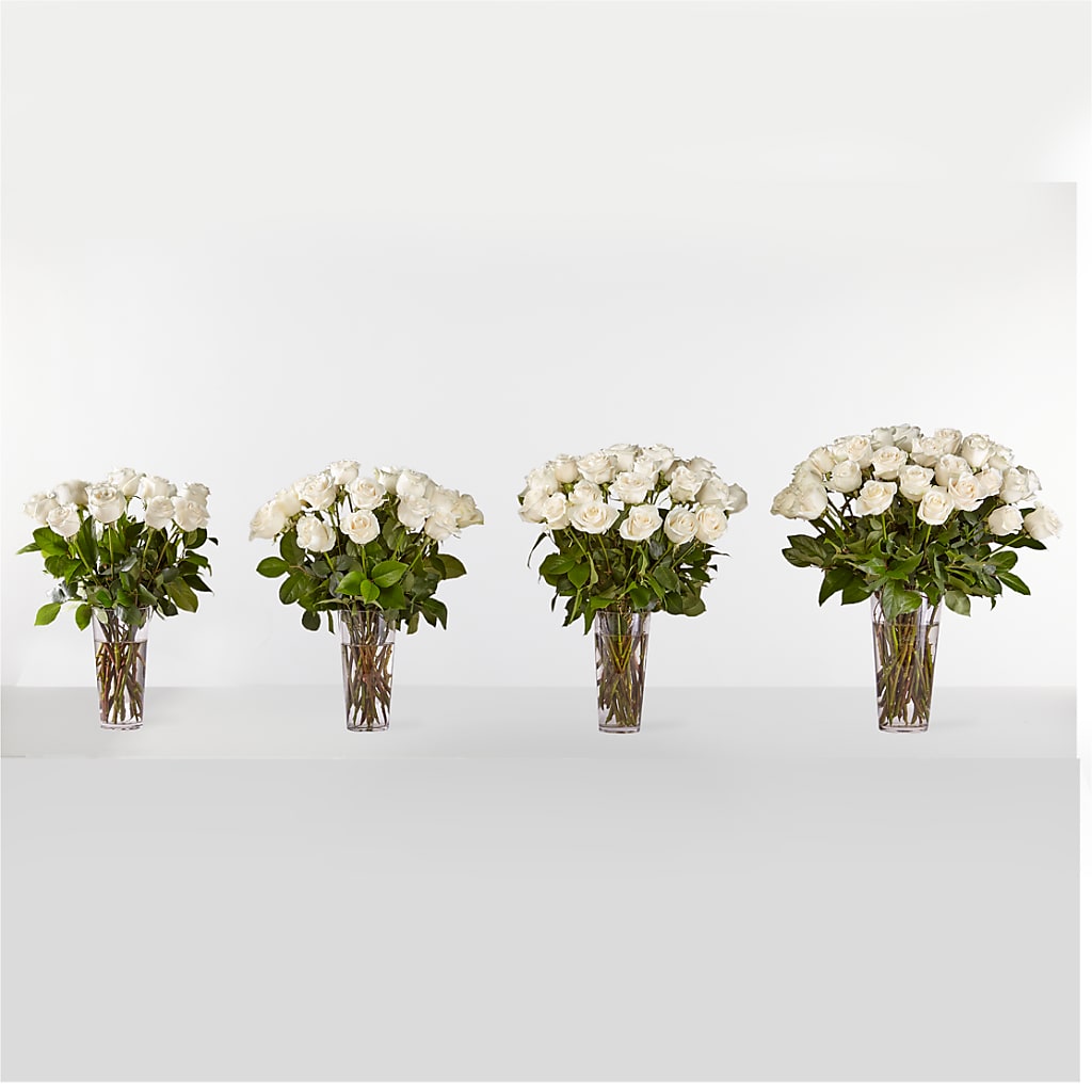 Long Stem White Rose Bouquet – KLEIN'S FLORAL & GREENHOUSES INC, Madison WI