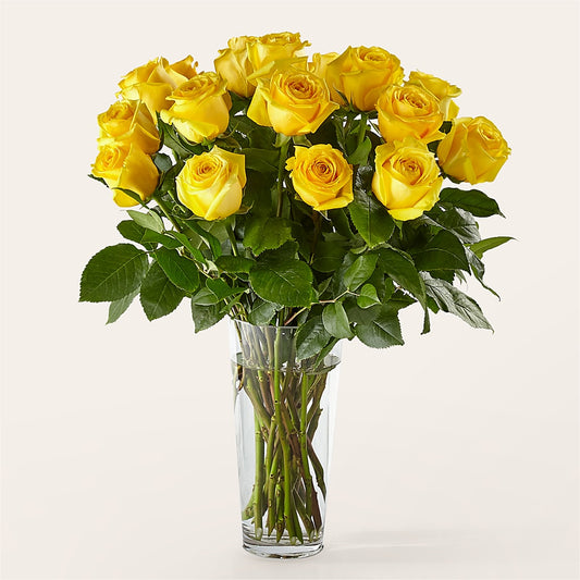 Long Stem Yellow Rose Bouquet – KLEIN'S FLORAL & GREENHOUSES INC, Madison WI