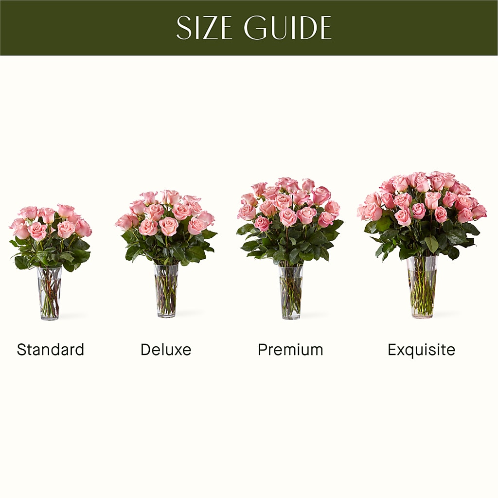 Long Stem Pink Rose Bouquet – KLEIN'S FLORAL & GREENHOUSES INC, Madison WI